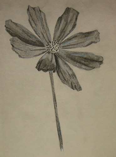 Kwiat - ołówek